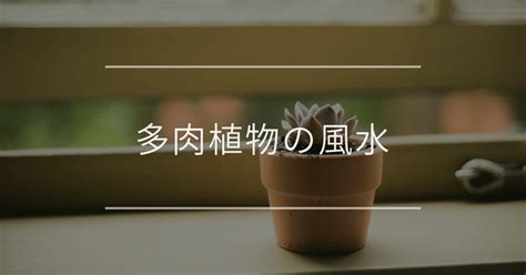 多肉植物 寝室|多肉植物の風水｜特徴別の効果や置き場所につい